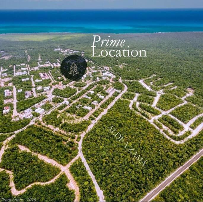 The Palm Penthouse Apartment Tulum